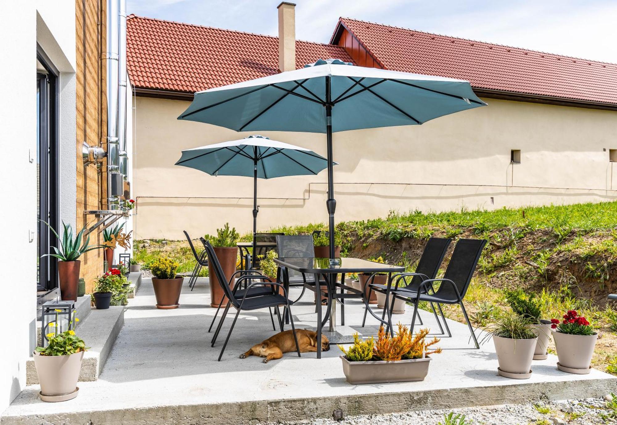 Sunny Apartment With Free Parking Зволен Экстерьер фото